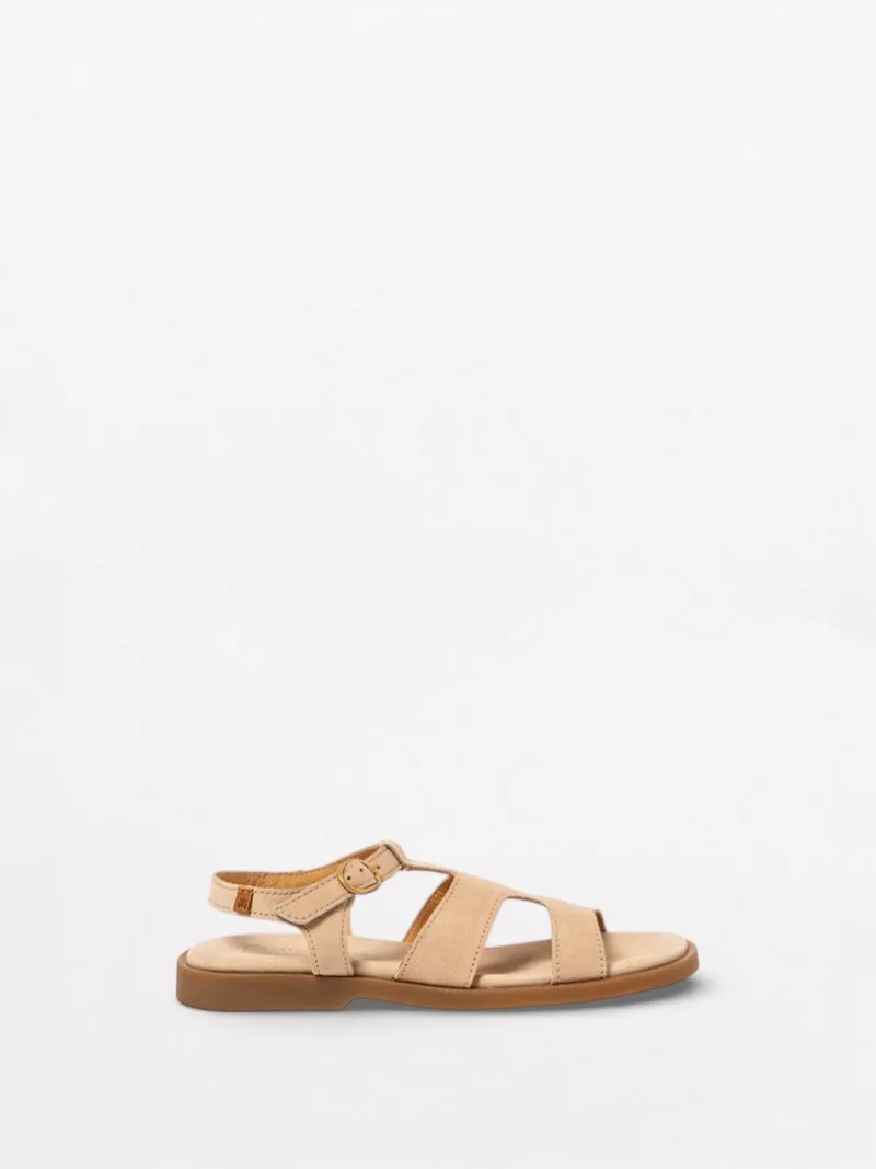 Arenisca N5879